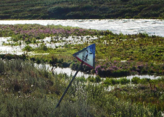Эпицентр ядерного взрыва (Кыштымская авария). Фотография 26