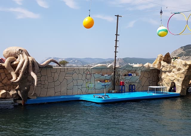 Анапский дельфинарий. Фотография 10