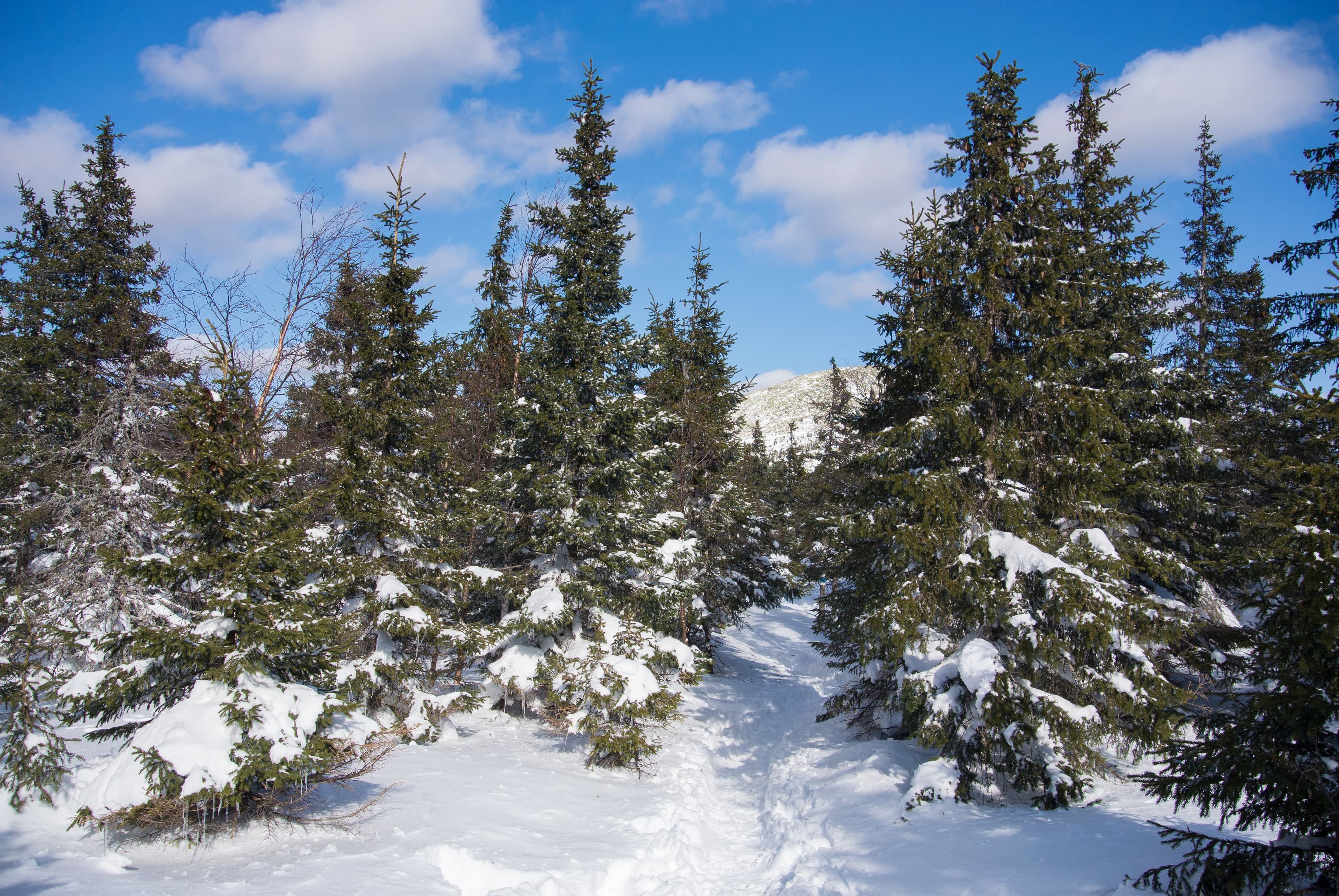 Valley of Fairy Tales (Zlatoust) — photo 2