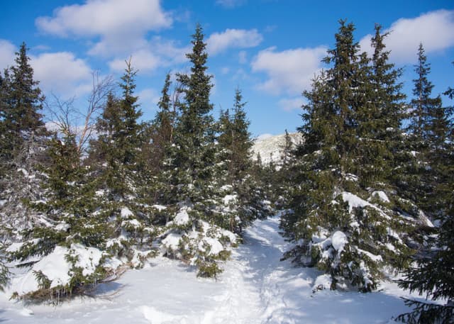 Valley of Fairy Tales. Фотография 2