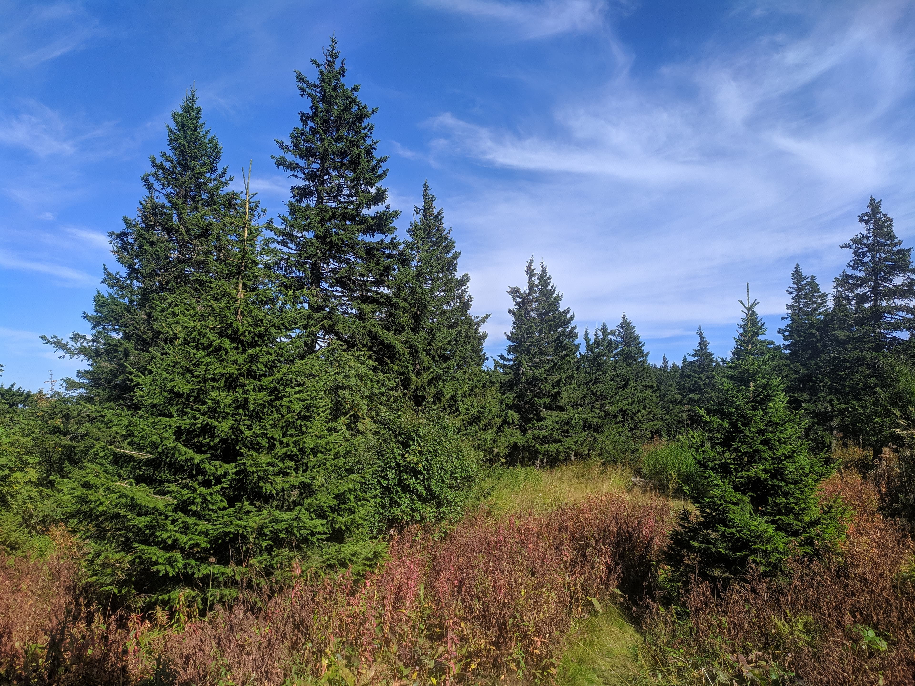 Valley of Fairy Tales (Zlatoust) — photo 1