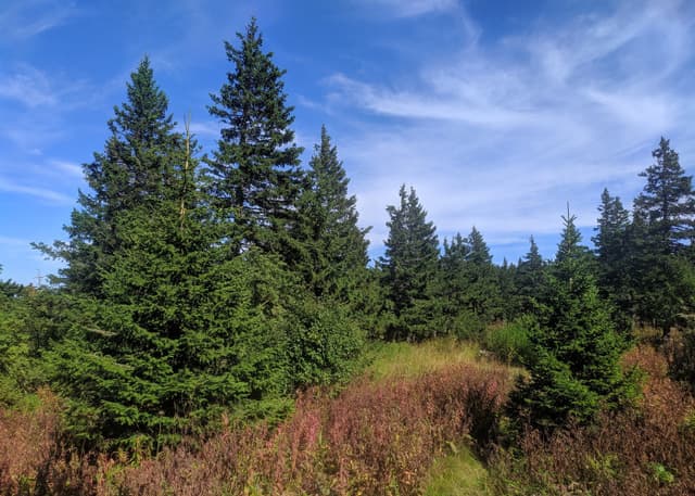 Valley of Fairy Tales. Фотография 1