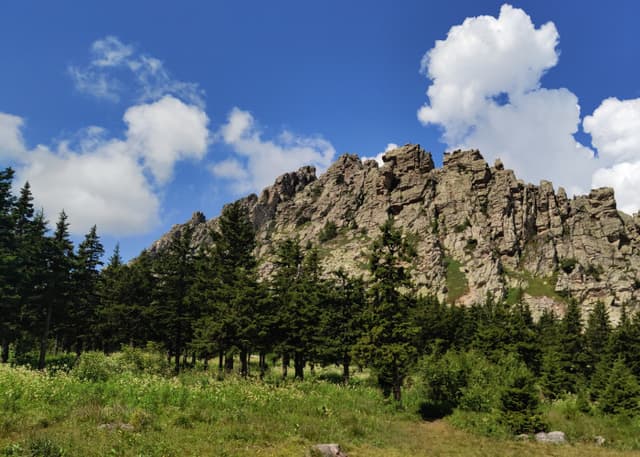 Откликной Гребень. Фотография 4