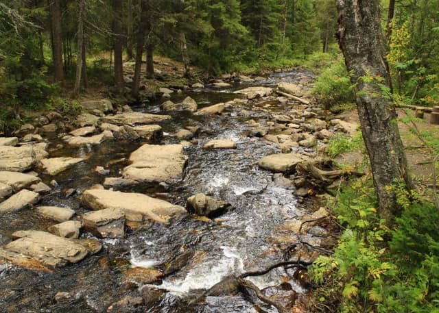 Двуглавая сопка. Фотография 1