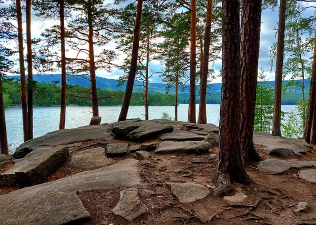 Стоянка древнего человека (Остров Веры). Фотография 8