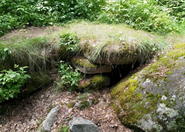 Стоянка древнего человека (Остров Веры). Фотография 4