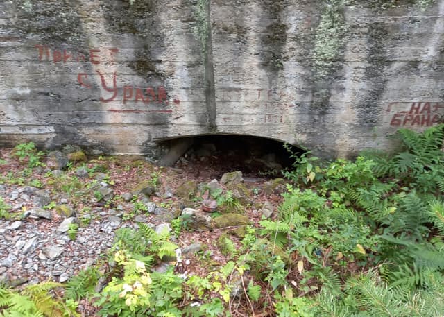 Руины динамитного завода. Фотография 5