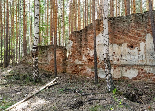 Руины динамитного завода. Фотография 4