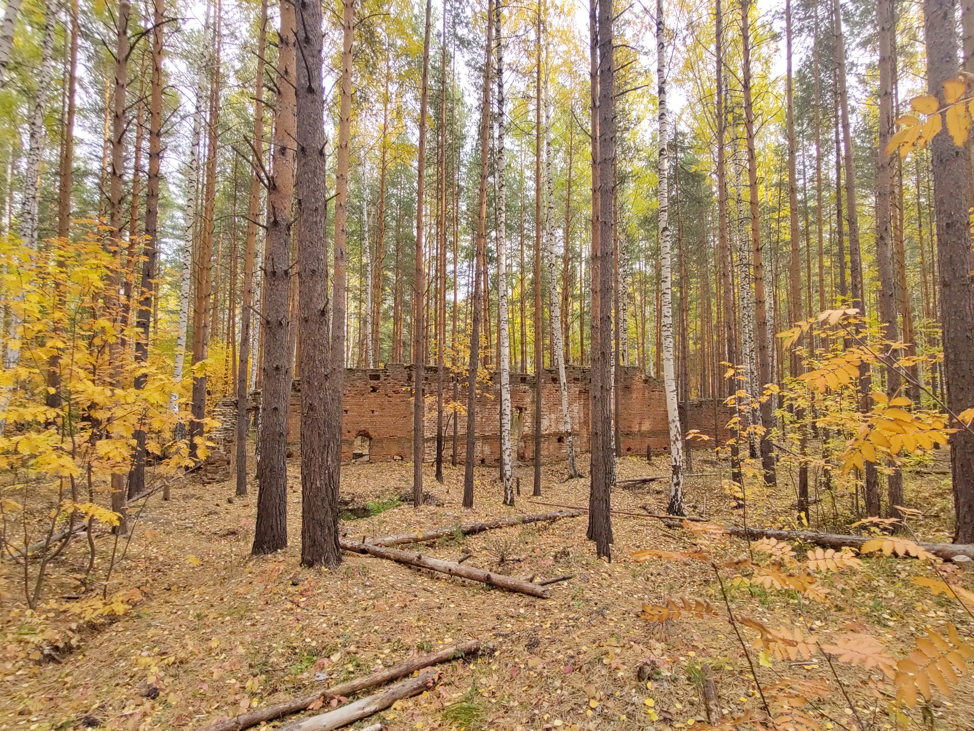 Руины динамитного завода — фотография 2