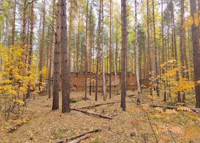 Руины динамитного завода. Фотография 2