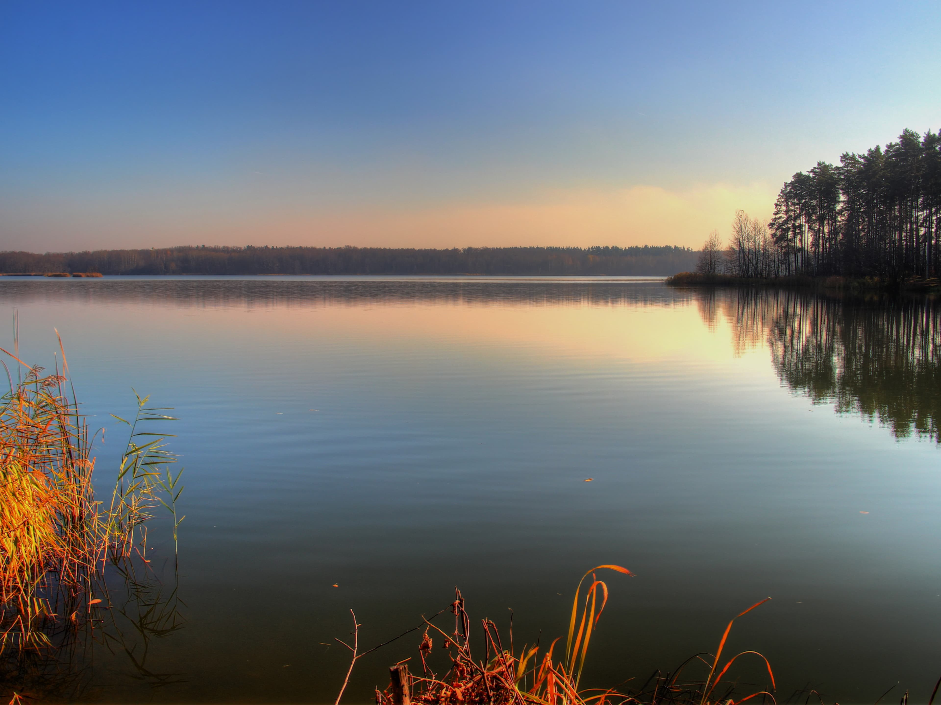 Silicate Lakes (Lipetsk) — photo 3