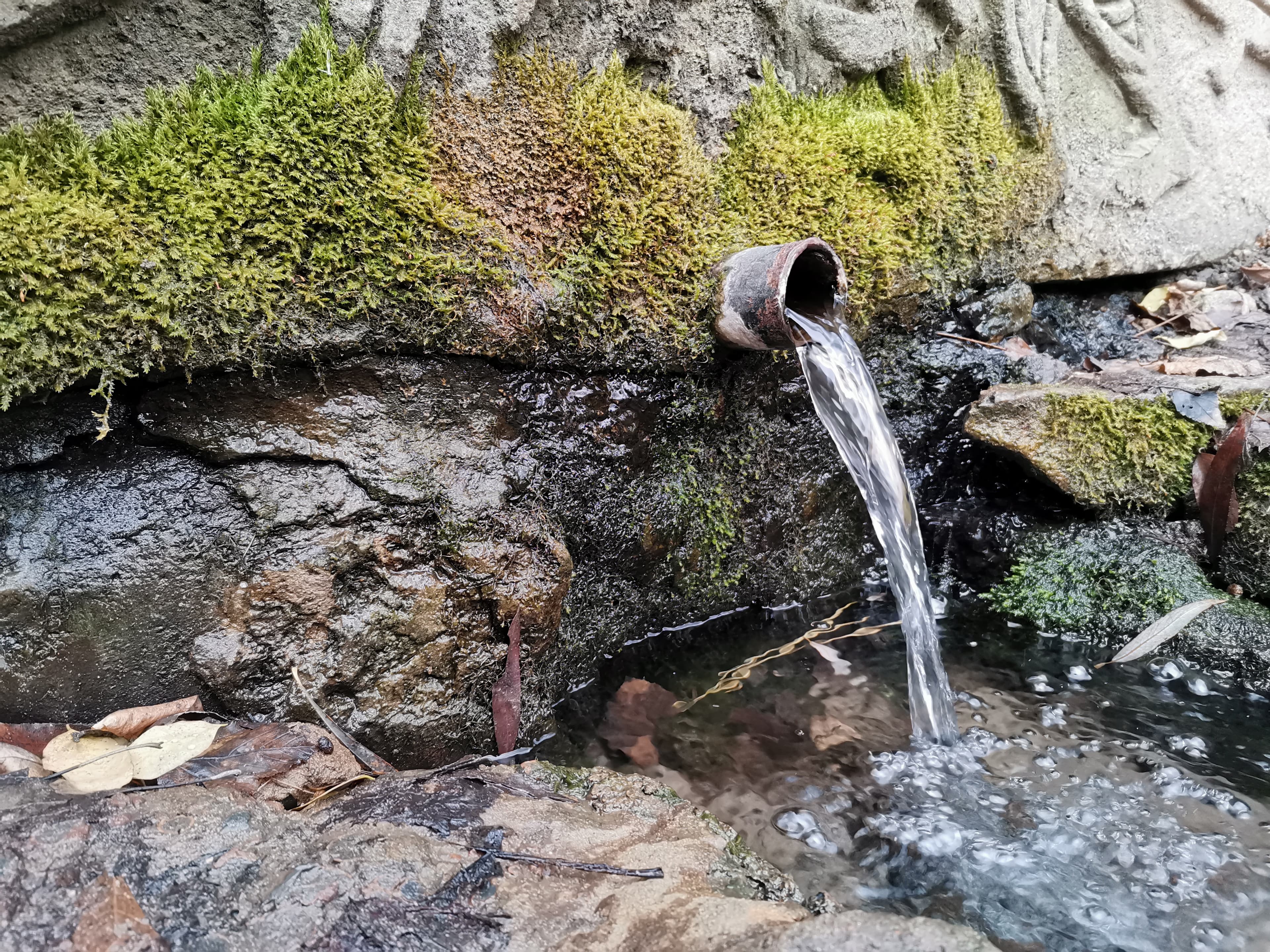 Grandfather Taran's spring (source of the Queen) — photo 2