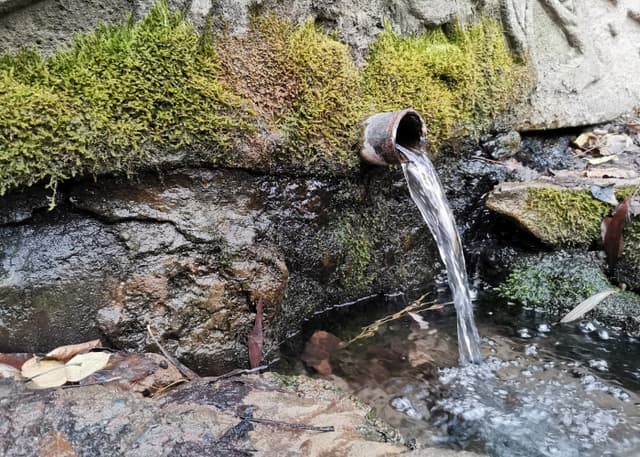 Родник деда Тарана (исток Царицы). Фотография 22