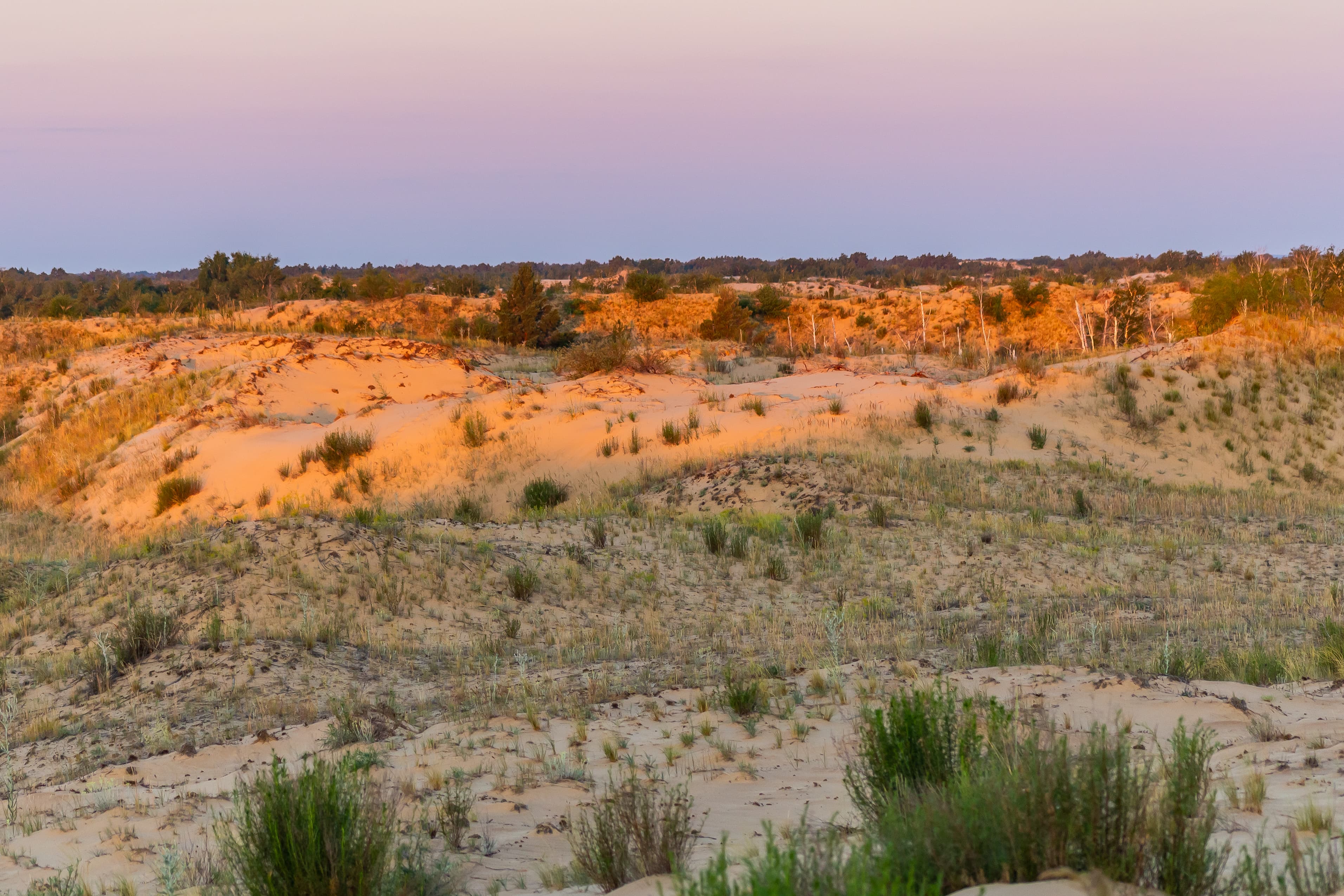 Golubinskie Sands — photo 3