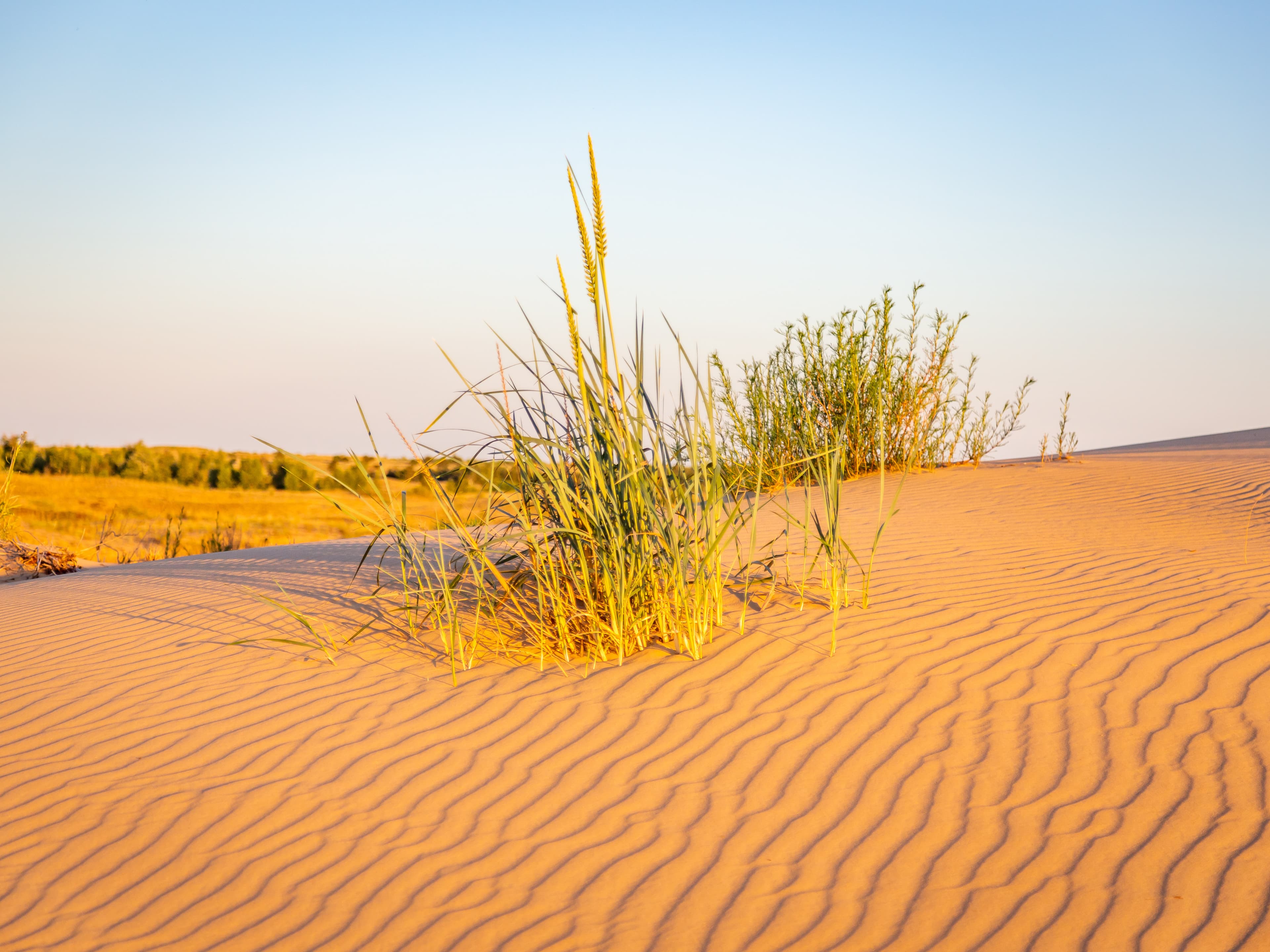 Golubinskie Sands — photo 2