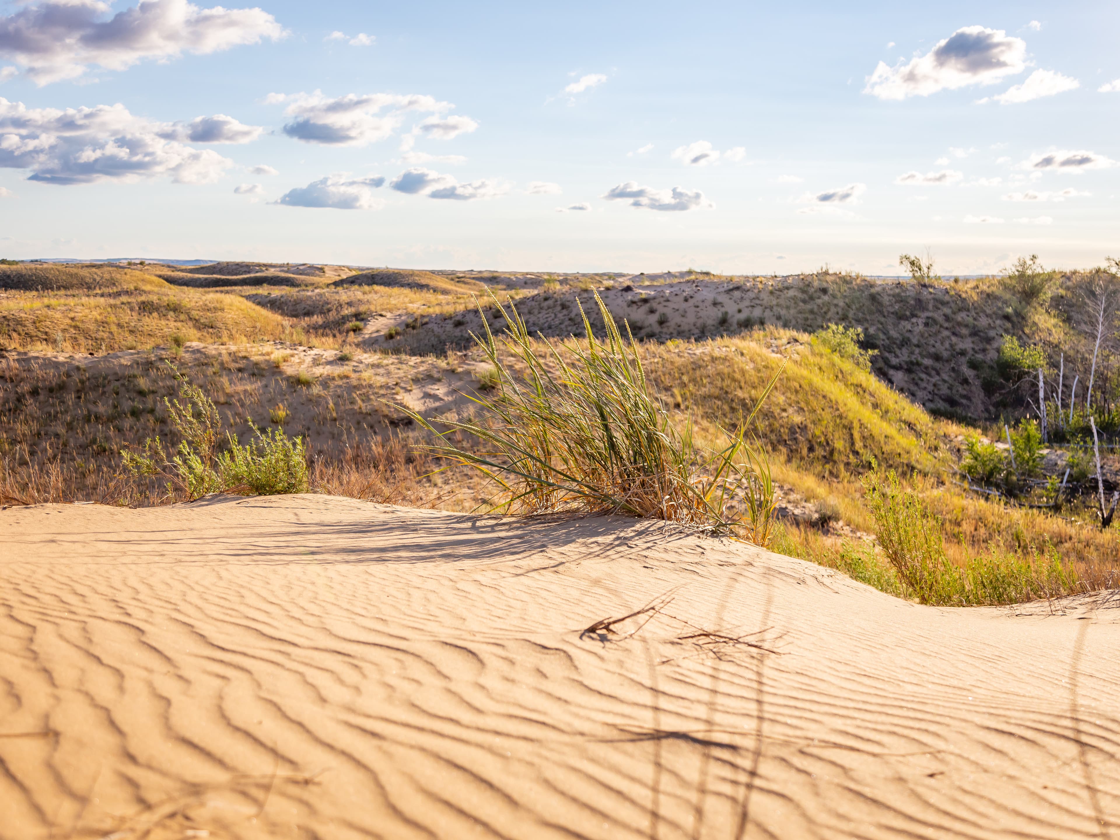 Golubinskie Sands — photo 1