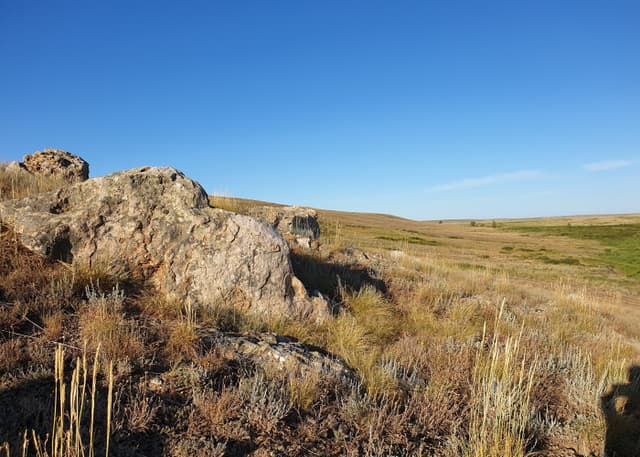 Айтуарская степь. Фотография 30