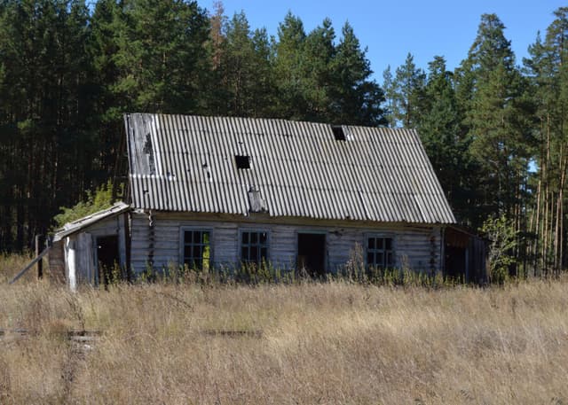 Заброшенный ДОЛ Победа (Бузулукский бор). Фотография 8