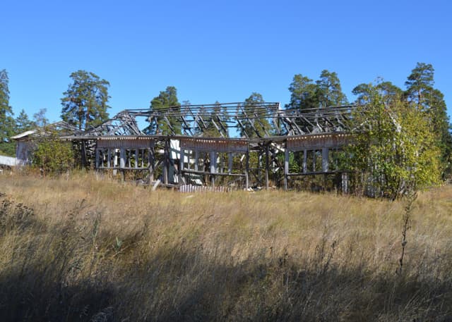 Заброшенный ДОЛ Победа (Бузулукский бор). Фотография 7