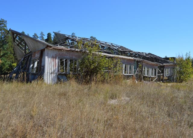 Заброшенный ДОЛ Победа (Бузулукский бор). Фотография 6