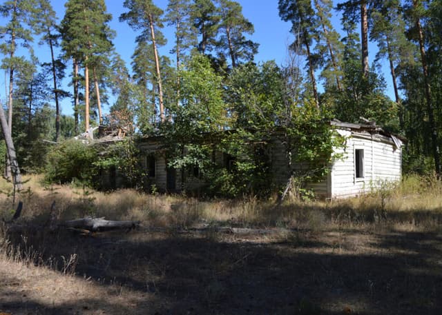 Заброшенный ДОЛ Победа (Бузулукский бор). Фотография 5