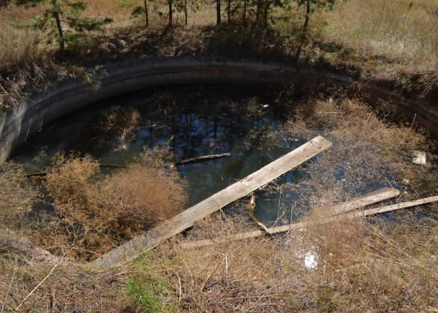 Заброшенный ДОЛ Победа (Бузулукский бор). Фотография 3
