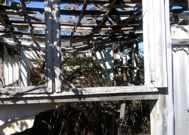 Заброшенный ДОЛ Победа (Бузулукский бор). Фотография 2