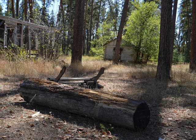 Заброшенный ДОЛ Победа (Бузулукский бор). Фотография 1