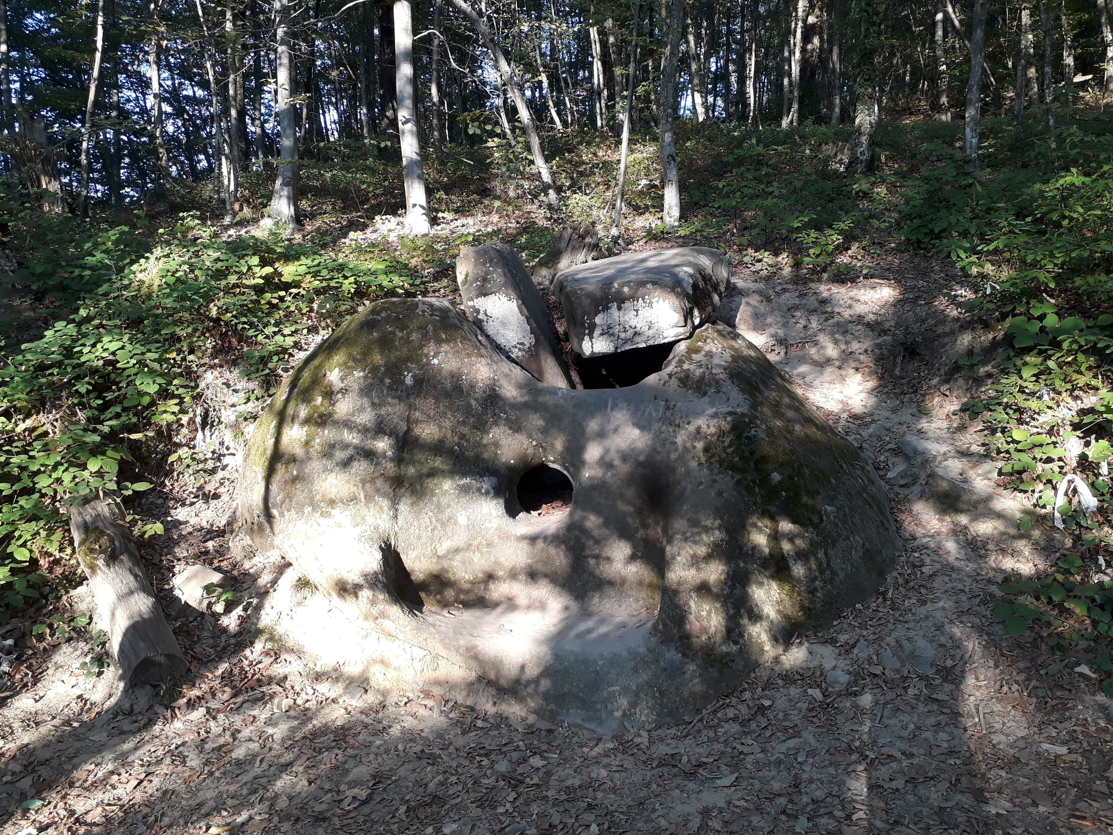 Trough-Shaped Dolmen (Svir Gorge) — photo 3