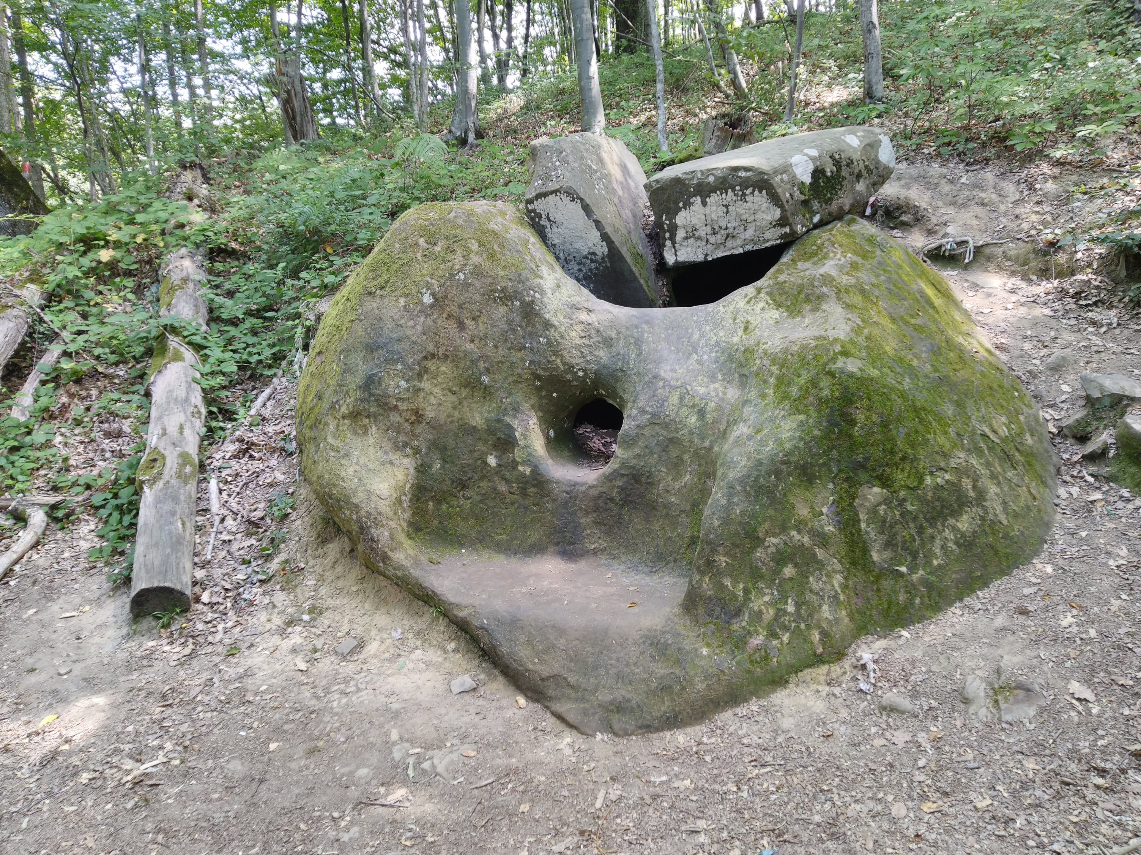 Trough-Shaped Dolmen (Svir Gorge) — photo 1
