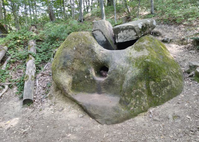 Корытообразный дольмен (Свирское ущелье). Фотография 1