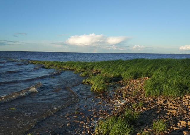 Озеро Ильмень. Фотография 15