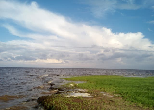 Озеро Ильмень. Фотография 14