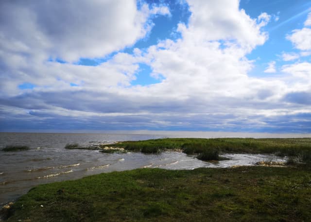 Озеро Ильмень. Фотография 13