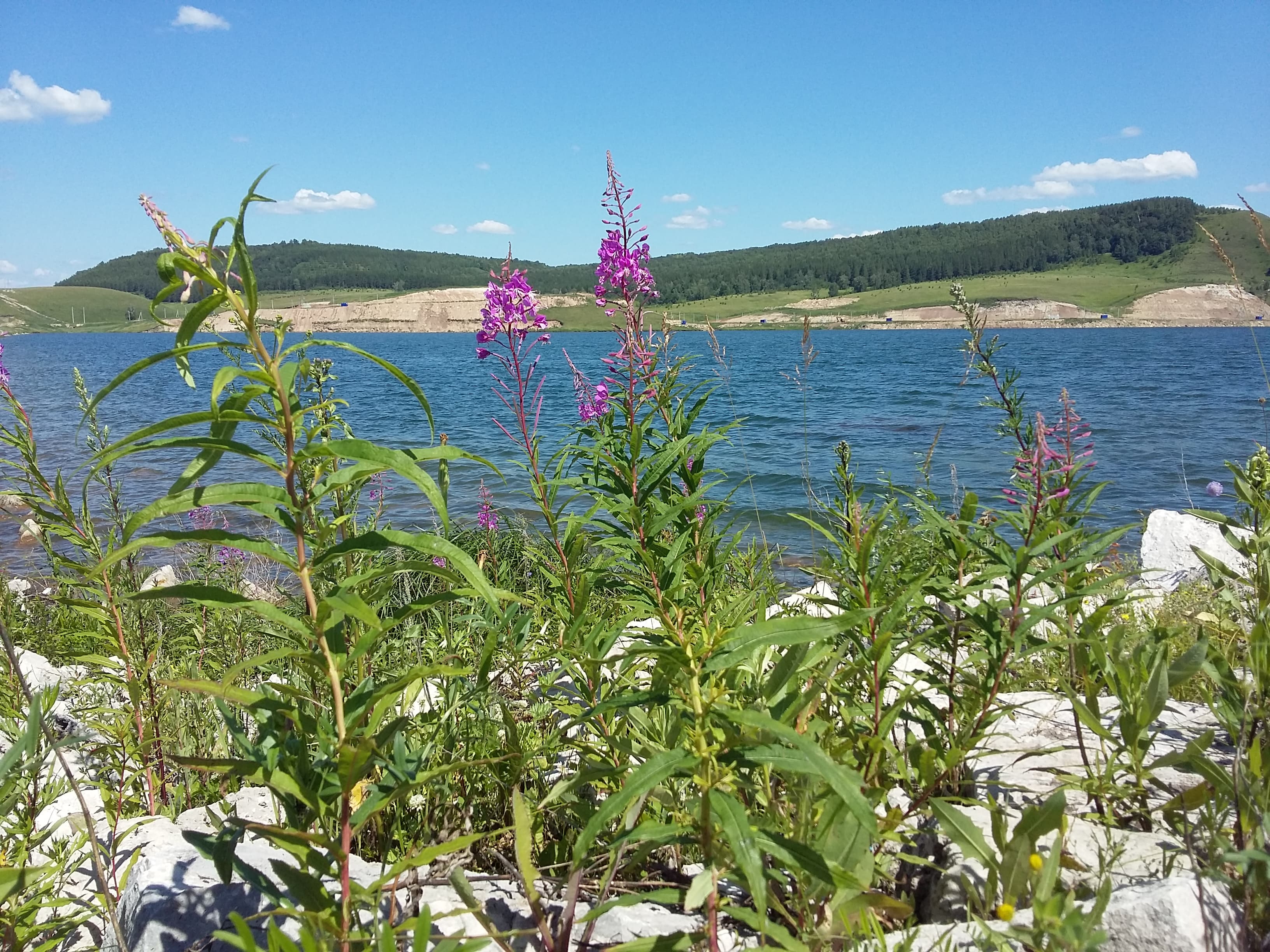 Ermekeyevskoye Reservoir — photo 3