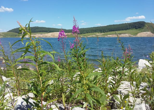 Ермекеевское водохранилище. Фотография 3