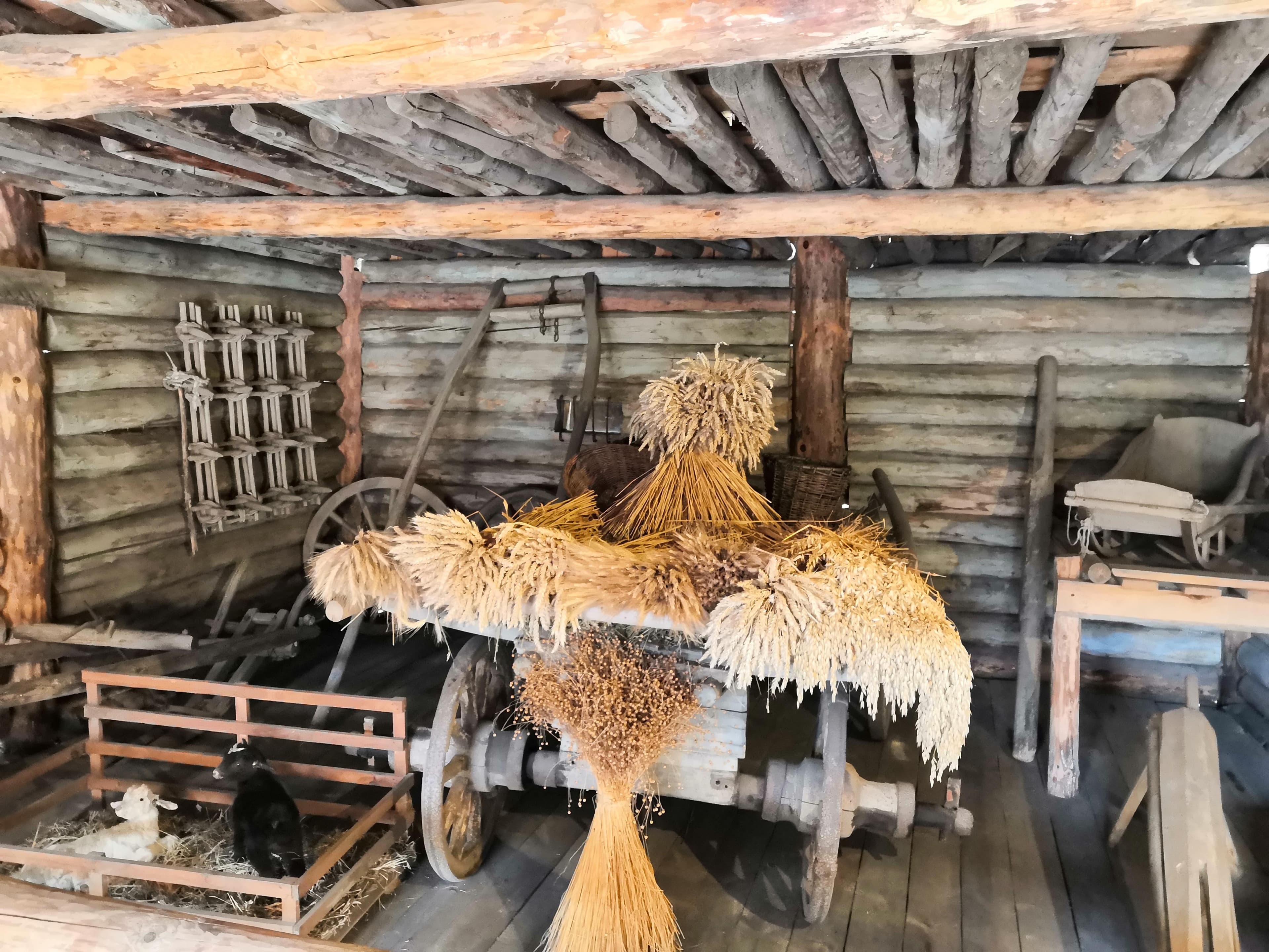 Museum of Wooden Architecture (Suzdal) — photo 5