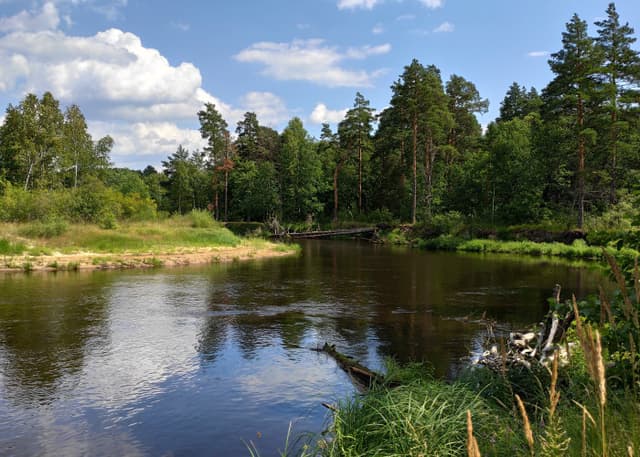 Национальный парк Мещёра. Фотография 6