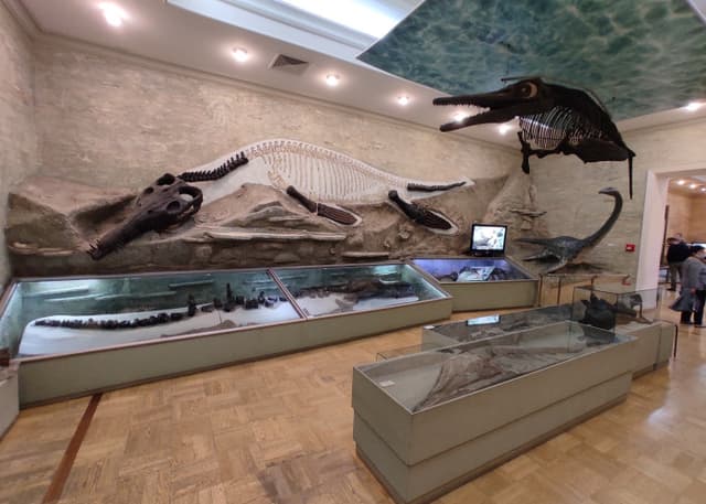 Музей естественной истории Татарстана. Фотография 4