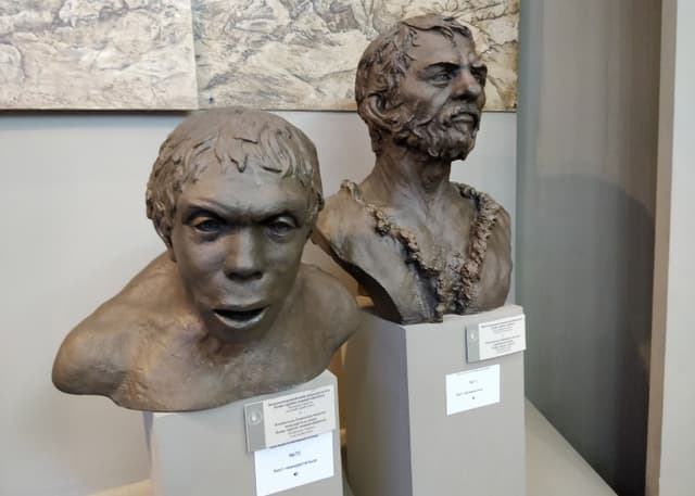 Музей естественной истории Татарстана. Фотография 3