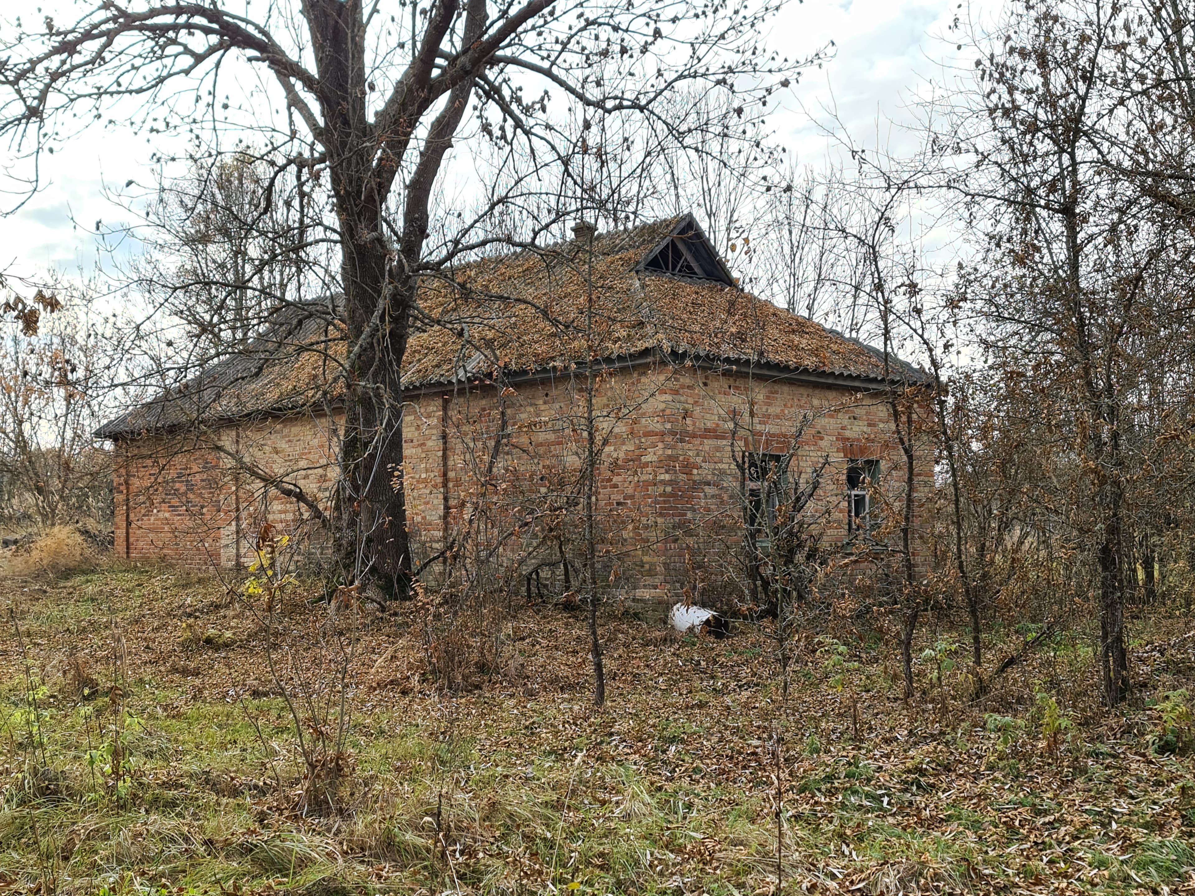 Село Красно (Красне) — заброшенная деревня в Чернобыльской зоне отчуждения — фотография 7