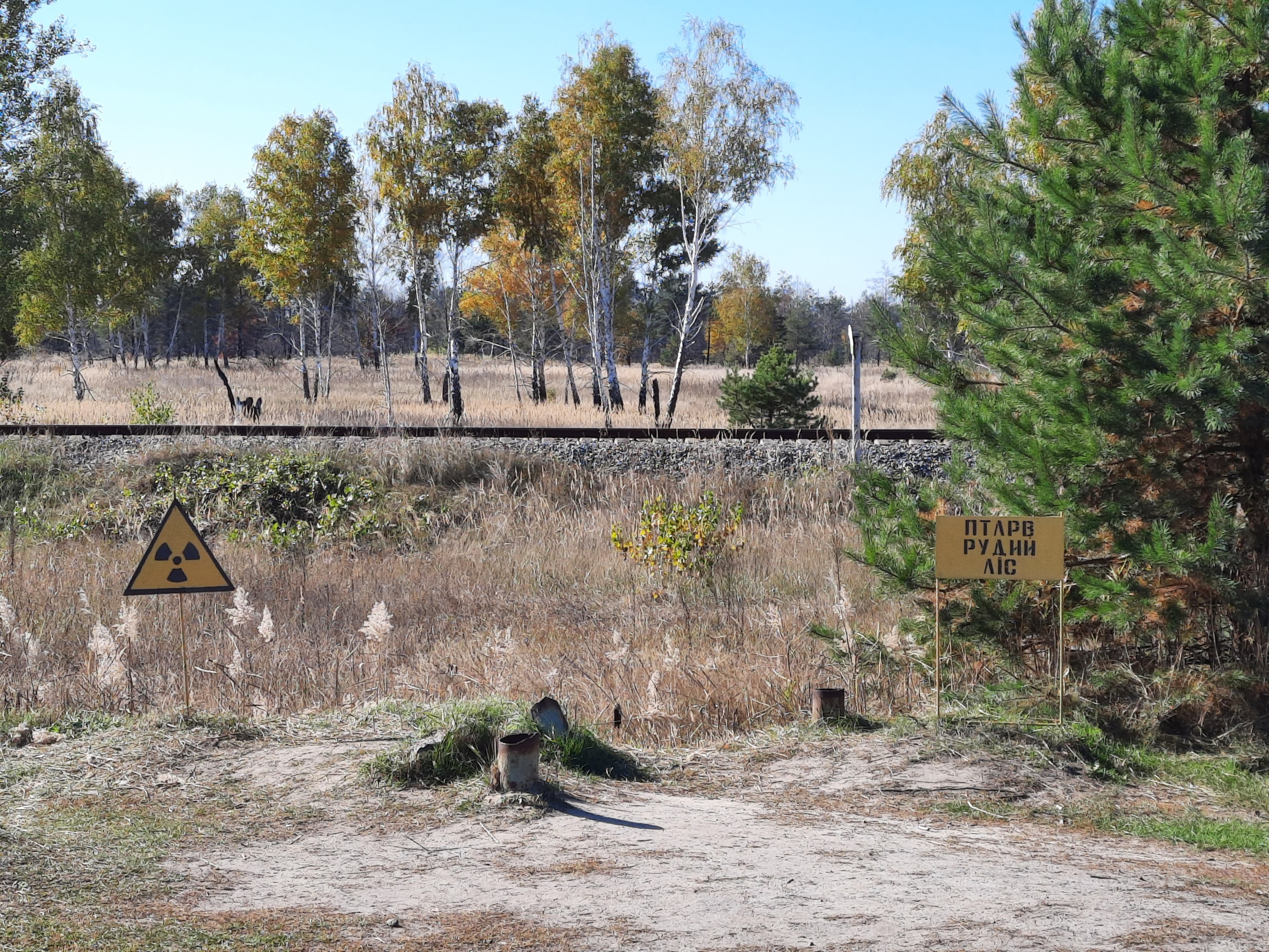 Red Forest (Chernobyl) — photo 4