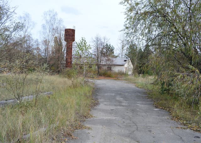 ЖД Станция Янов. Фотография 18