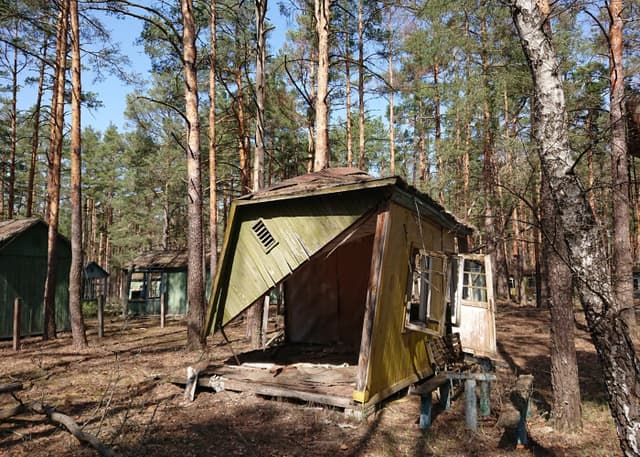 База отдыха Изумрудное. Фотография 4