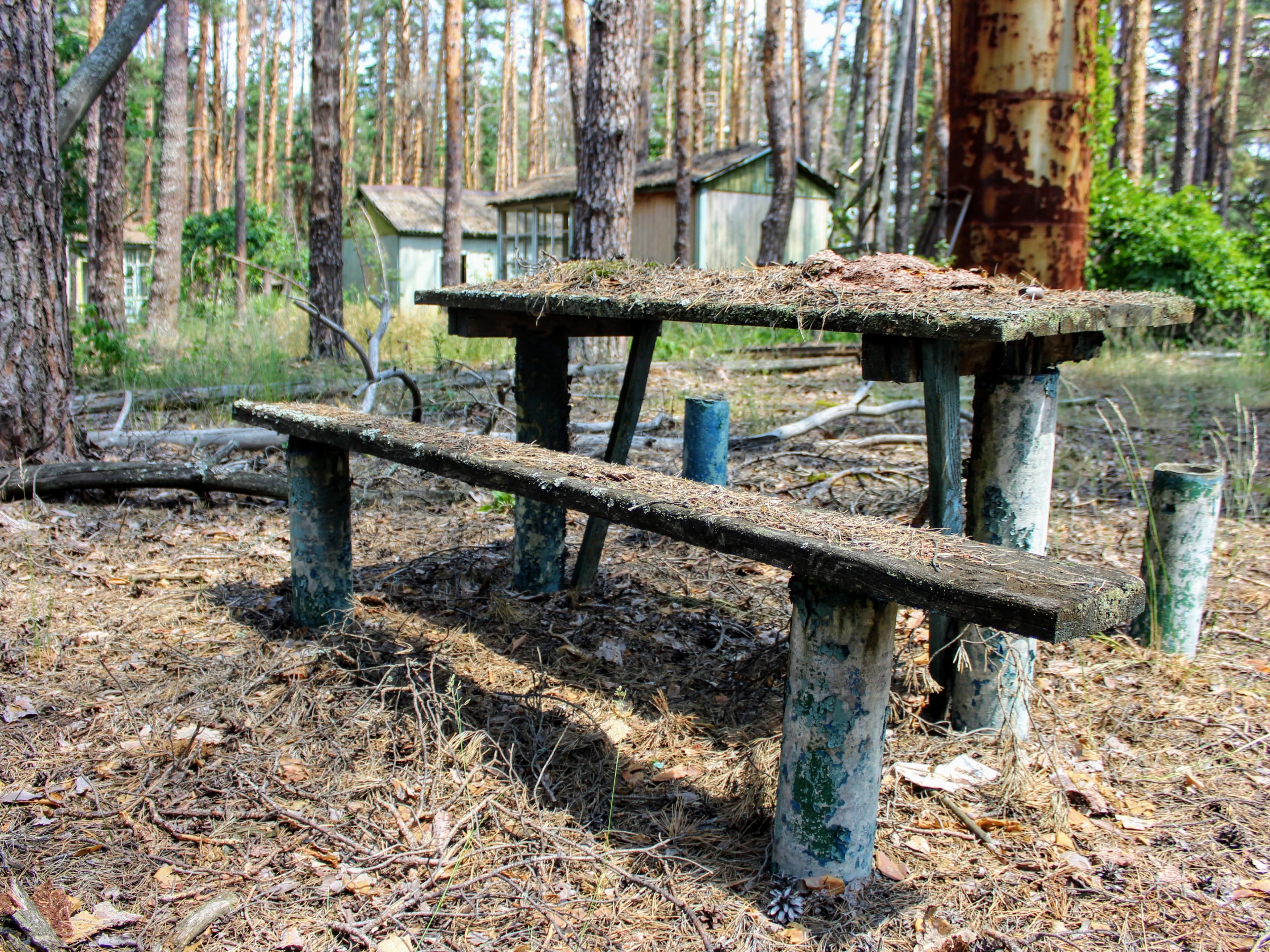 Izumrudnoye Recreation Center — photo 7