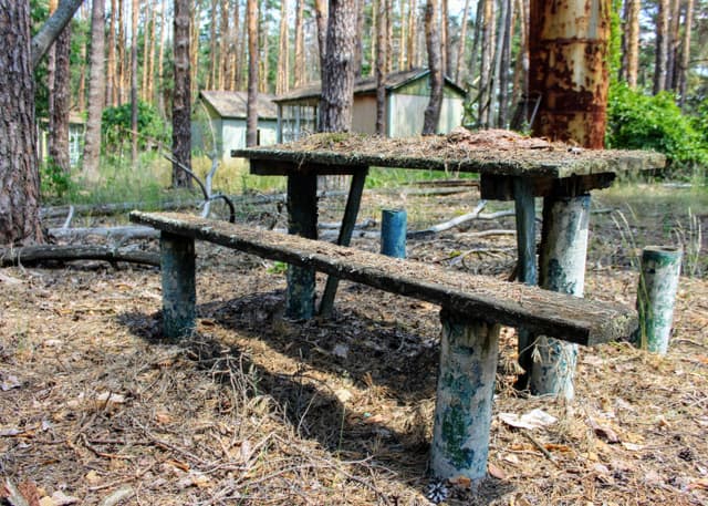 База отдыха Изумрудное. Фотография 3