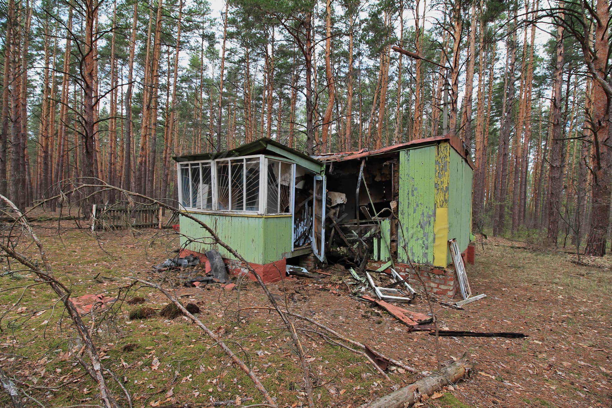 Izumrudnoye Recreation Center — photo 5
