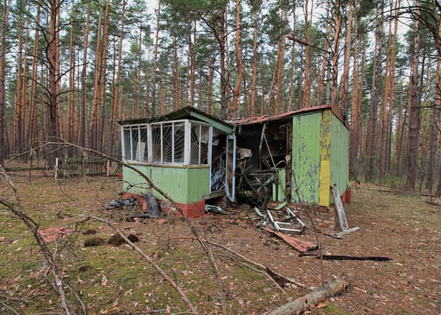 База отдыха Изумрудное. Фотография 1