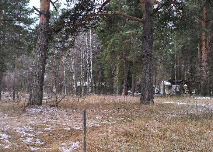 Заброшки на т/б "Клязьма". Фотография 8