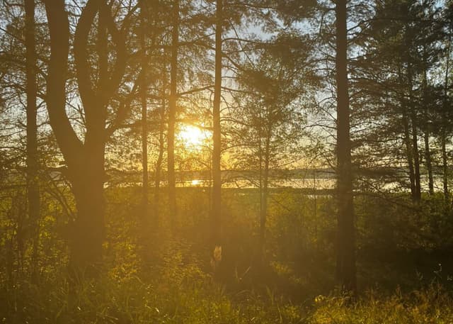 Озеро Ивановское (Рязанская обл.). Фотография 4